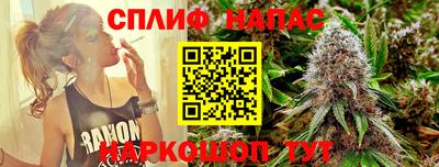 МДПВ Пушкино